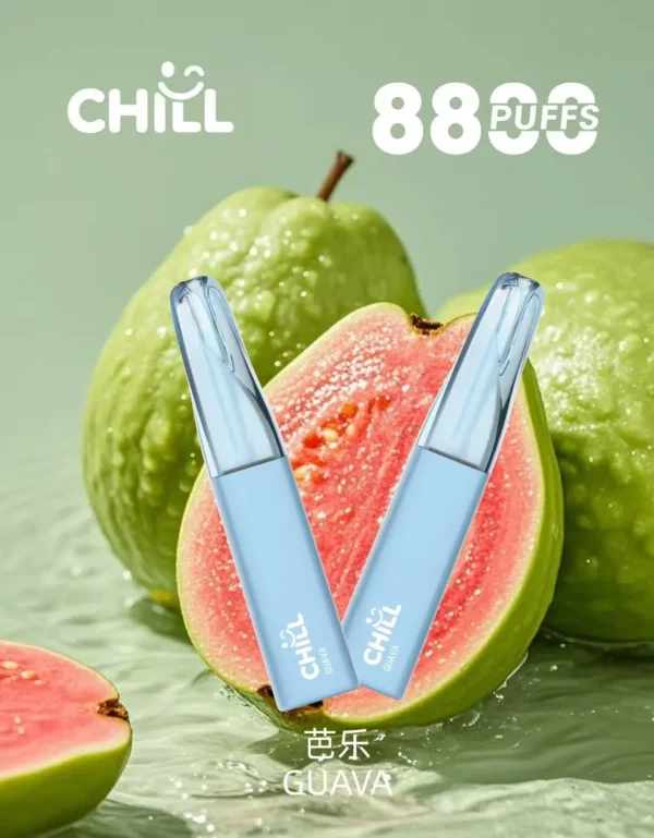 微信图片_2025-10-30_221155_746 CHILL<br>一次性拋棄式<br>《 8800口 》