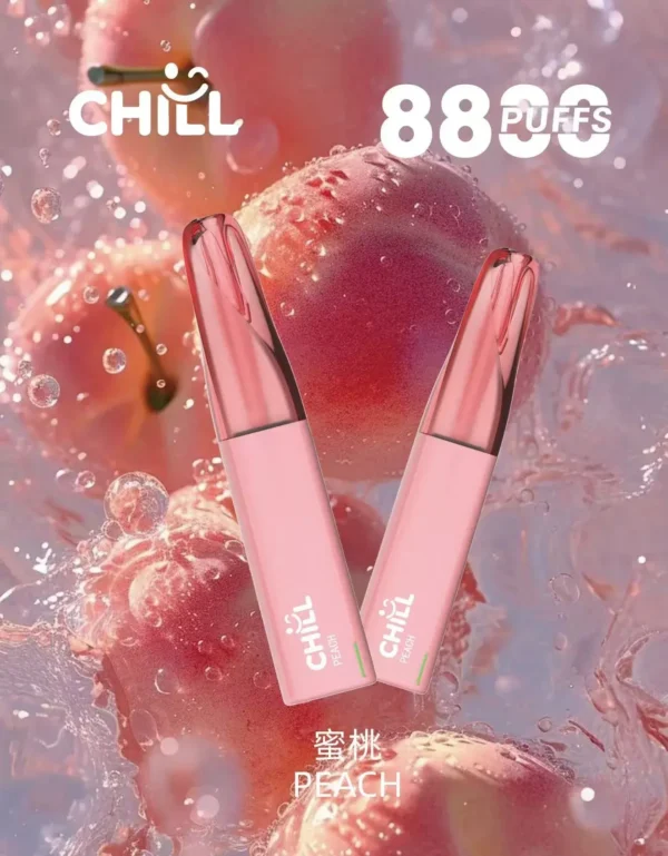 微信图片_2025-10-30_221200_055 CHILL<br>一次性拋棄式<br>《 8800口 》