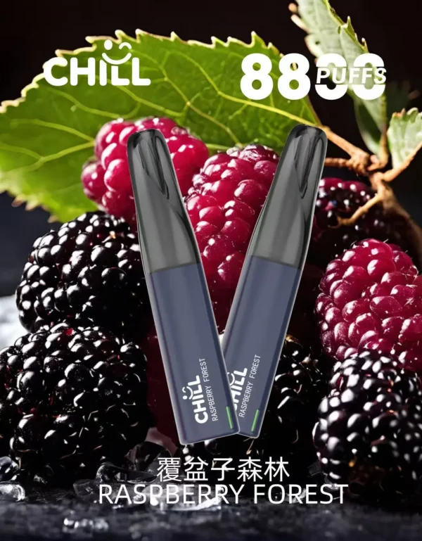 微信图片_2025-10-30_221204_176 CHILL<br>一次性拋棄式<br>《 8800口 》