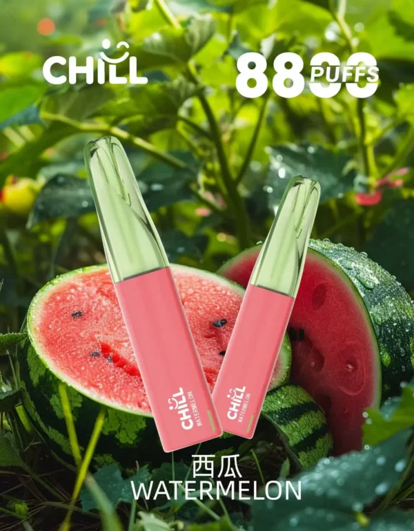 微信图片_2025-10-30_221208_508 CHILL<br>一次性拋棄式<br>《 8800口 》