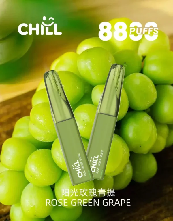 微信图片_2025-10-30_221213_221 CHILL<br>一次性拋棄式<br>《 8800口 》