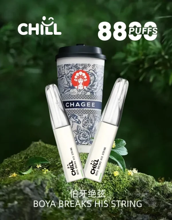 微信图片_2025-10-30_221230_344 CHILL<br>一次性拋棄式<br>《 8800口 》
